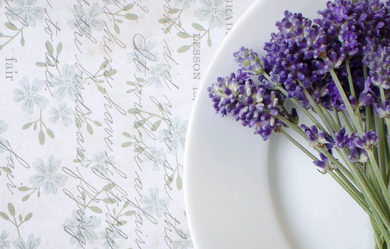 Photo wallpaper plate, vintage, lavender