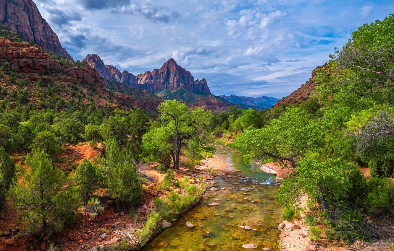 Photo wallpaper mountains, river, rocks, USA, parks, Zion, national park