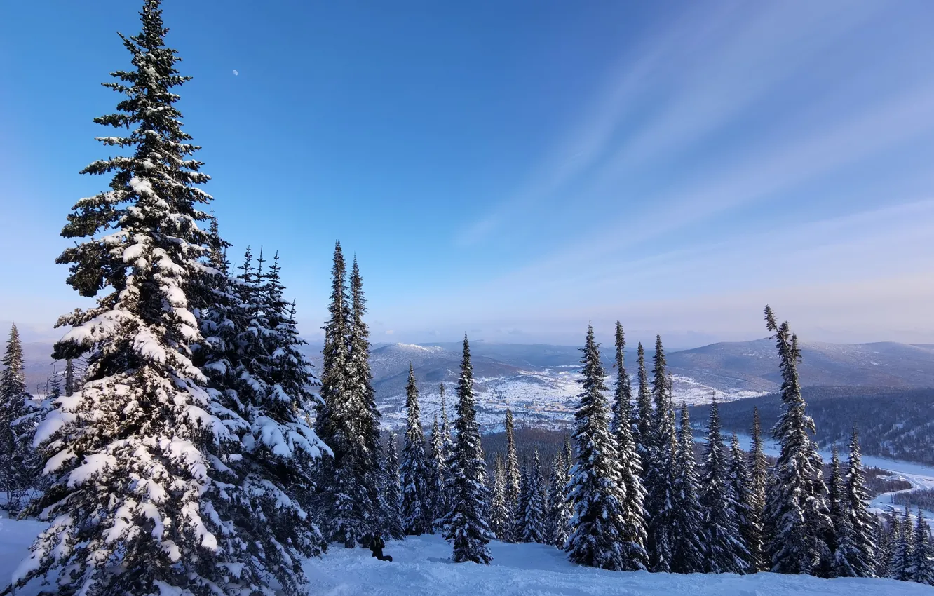 Photo wallpaper winter., Kemerovo region, landscape, forest