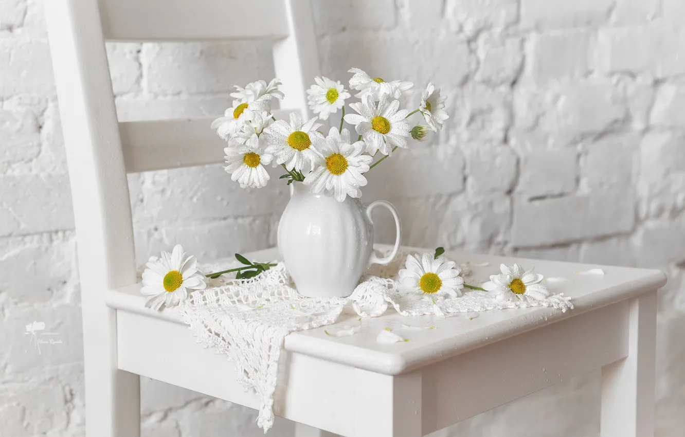 Photo wallpaper wall, chamomile, chair, pitcher, napkin