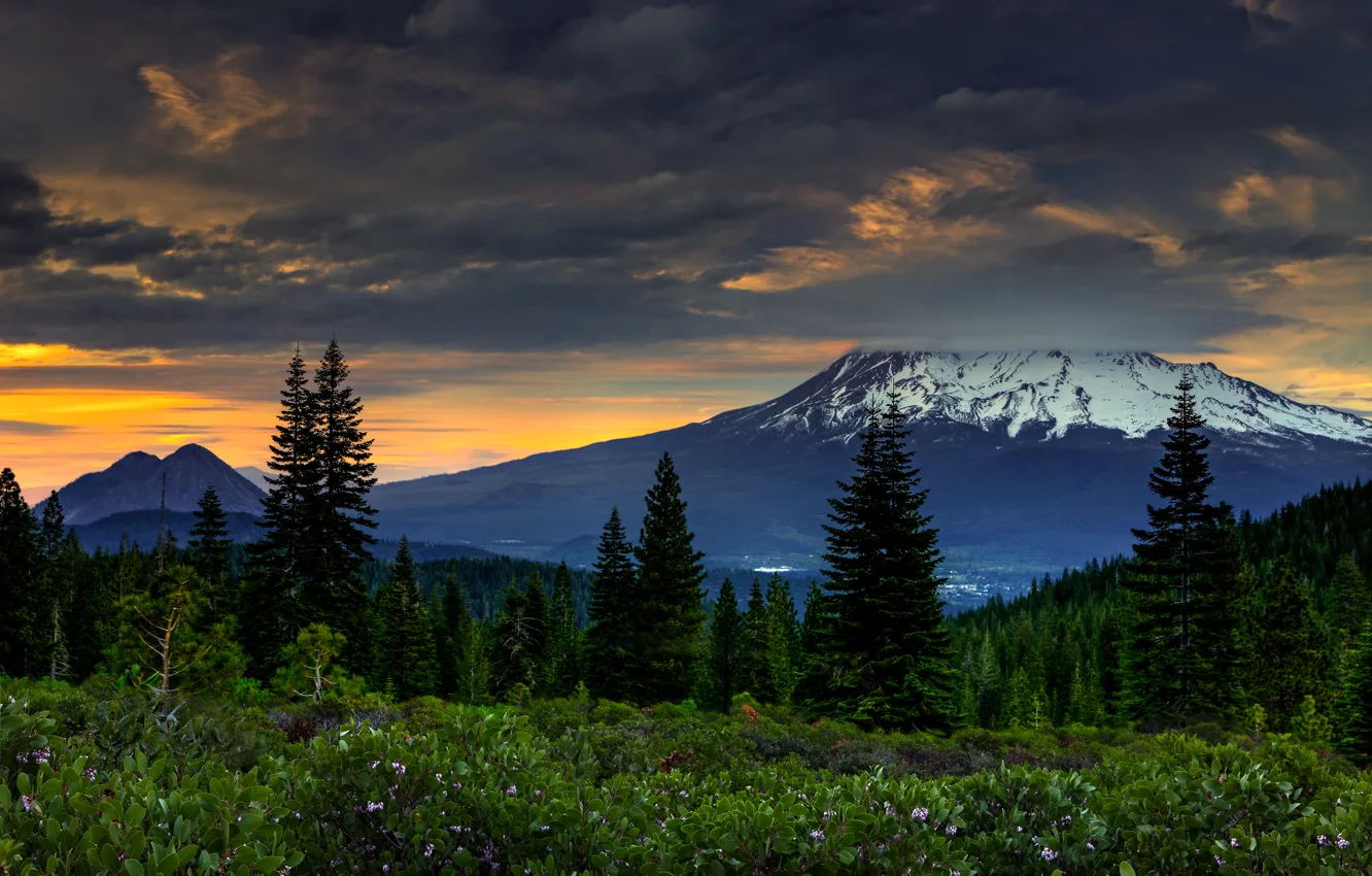 Photo wallpaper forest, sunset, mountains, clouds, CA, USA