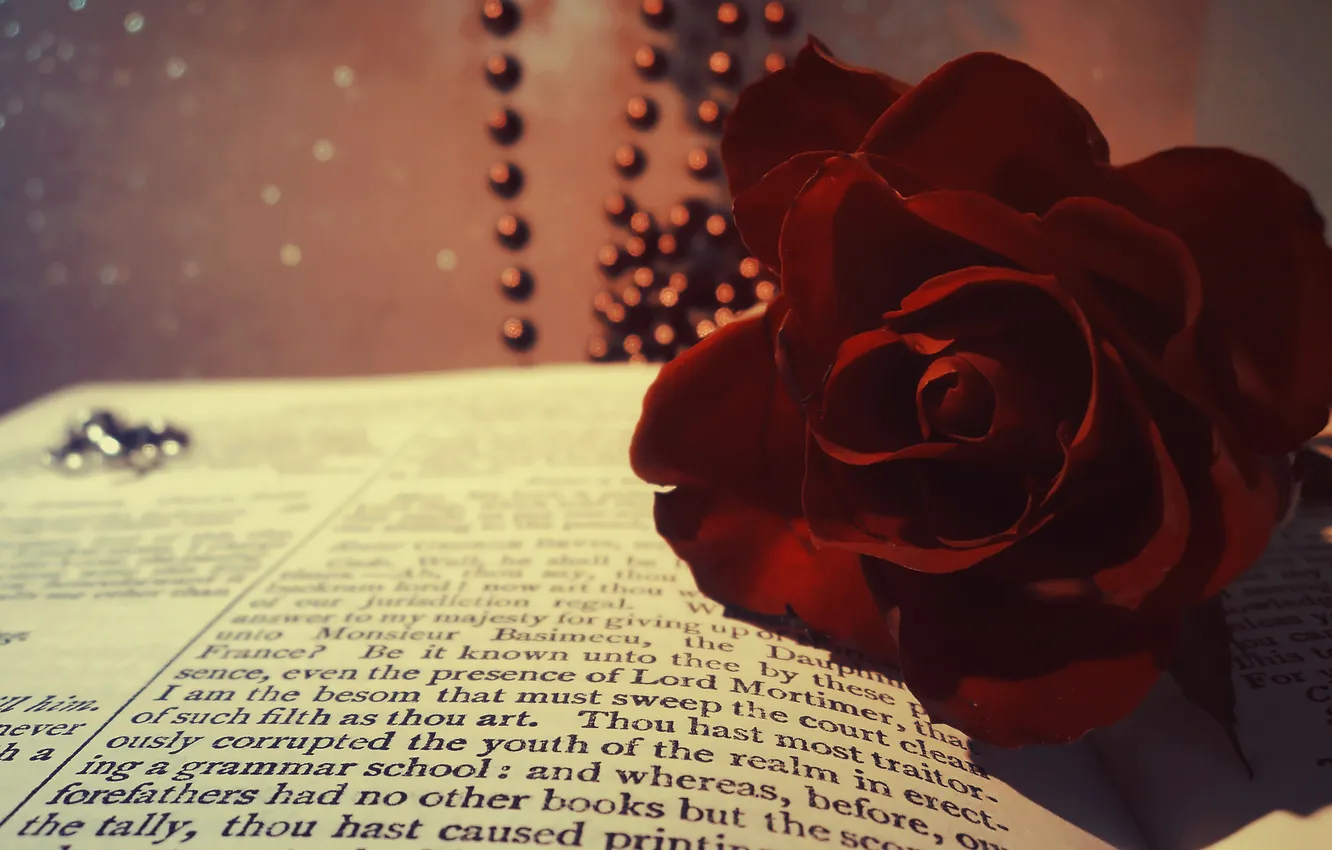 Photo wallpaper macro, flowers, red, roses, beads, book, Burgundy
