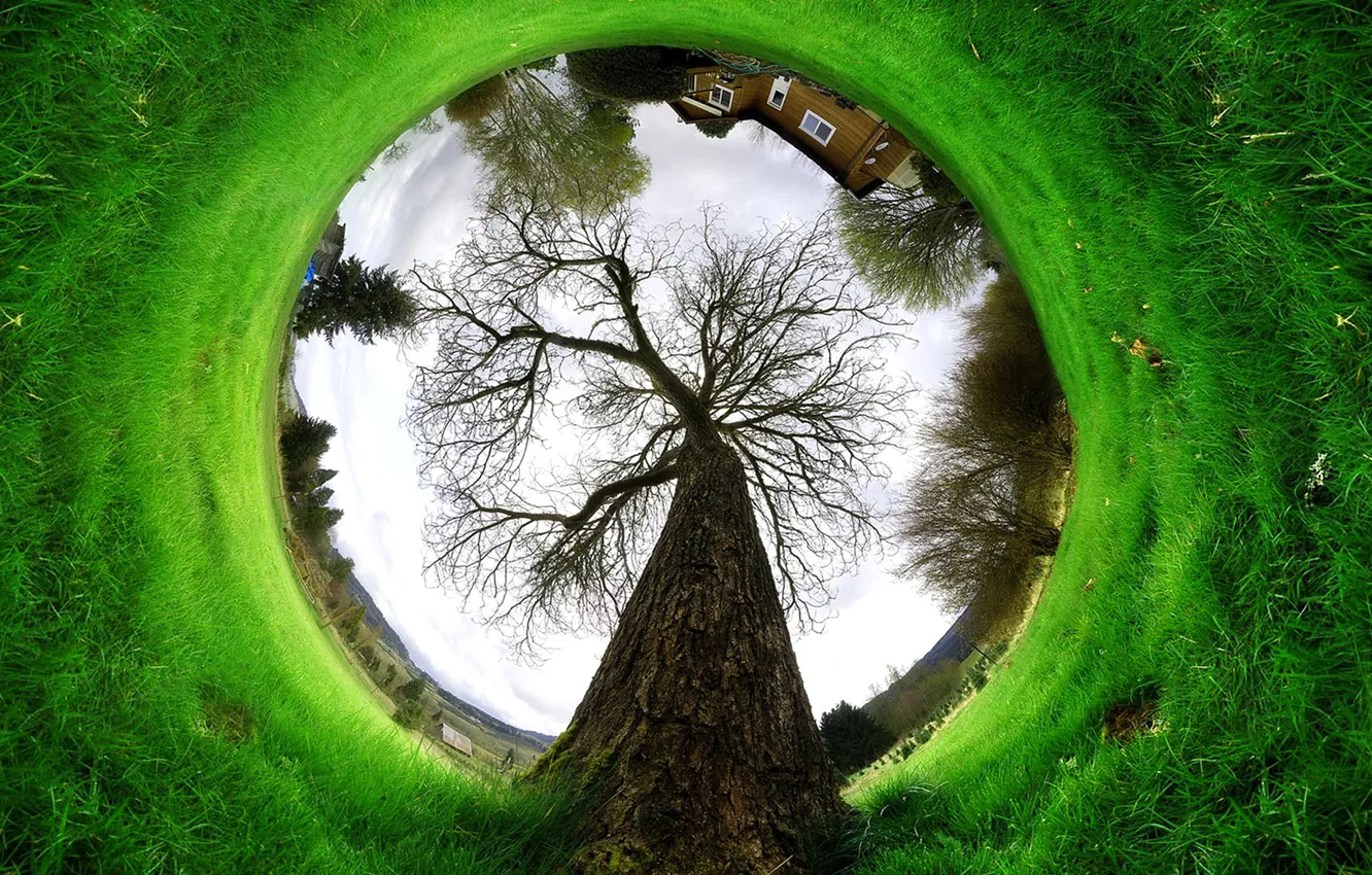 Photo wallpaper the sky, grass, trees, home