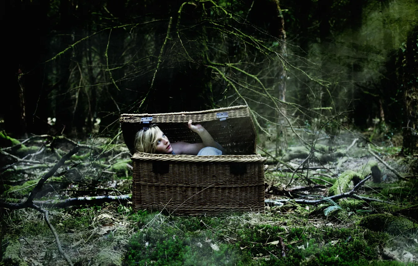 Photo wallpaper forest, girl, basket, the situation