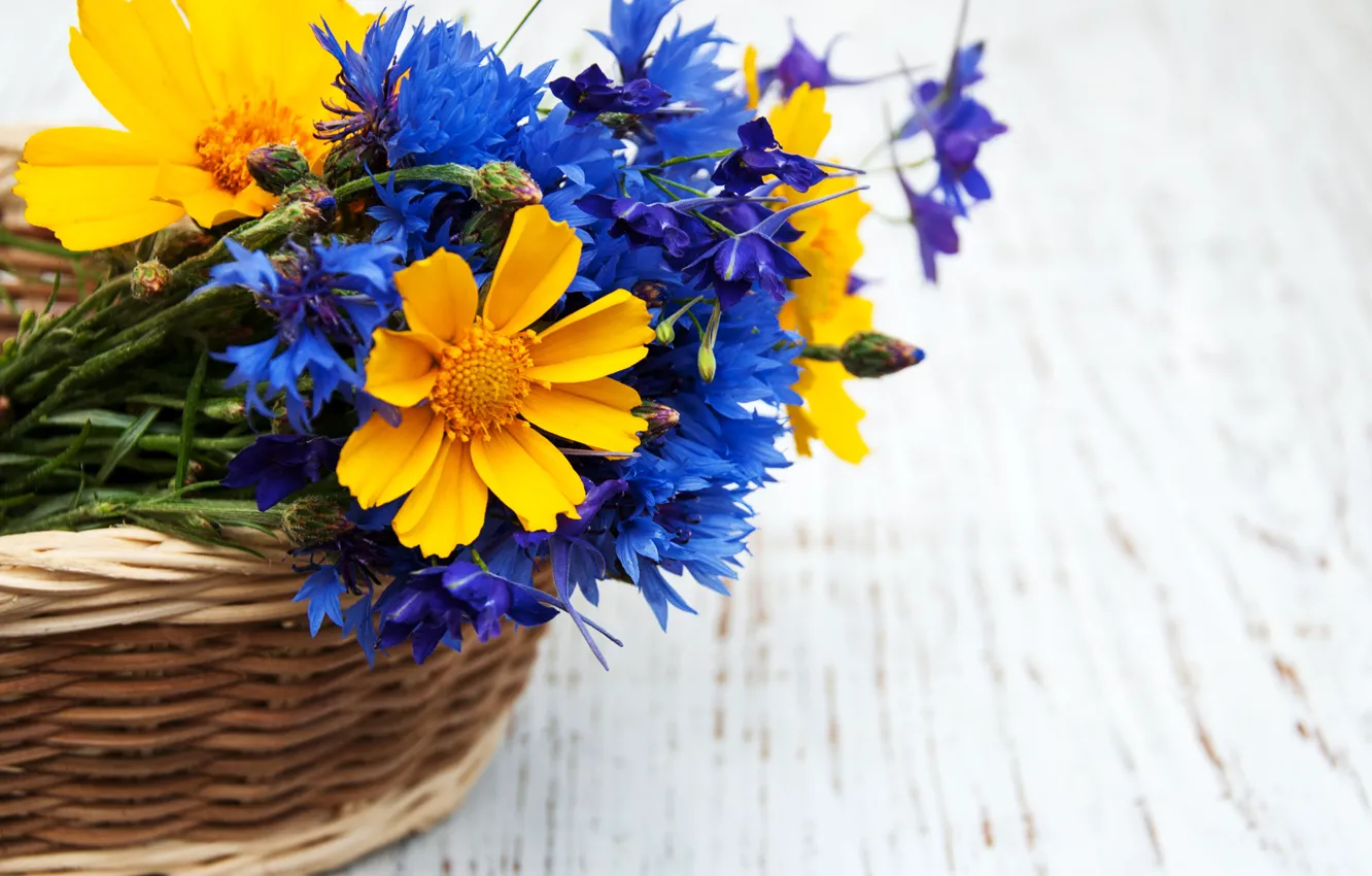 Photo wallpaper flowers, blue, yellow, bouquet, basket, Vasiliki, Olena Rudo