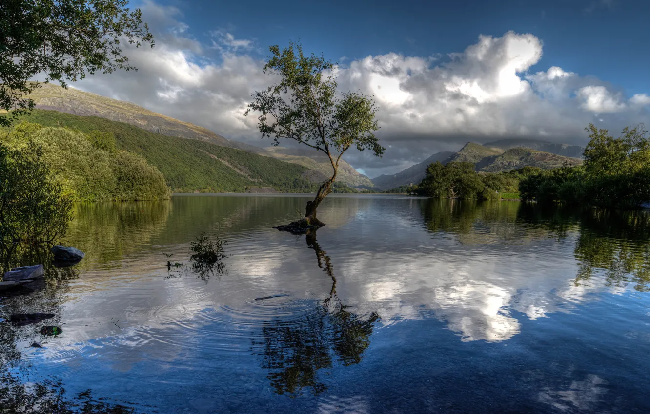 Photo wallpaper lake, reflection, tree, Wales, Wales, Snowdonia, Snowdonia, Gwynedd