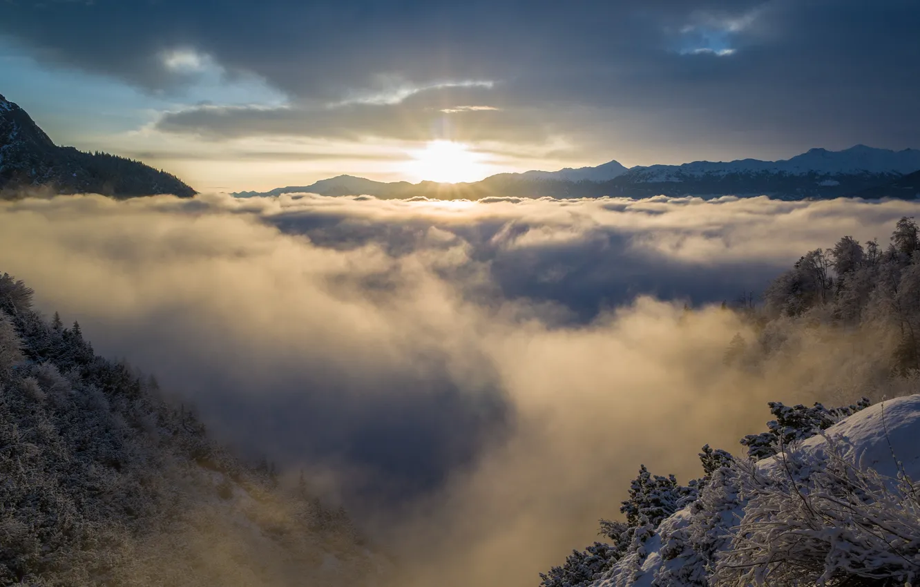 Photo wallpaper trees, mountains, clouds, snow, fog, sunrise