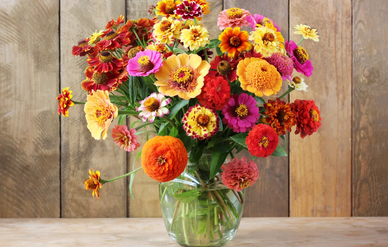Photo wallpaper autumn, flowers, bouquet, colorful, still life, flowers, autumn, still life