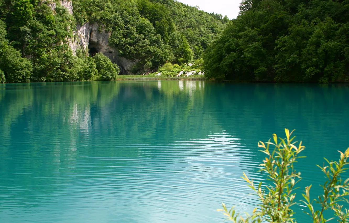 Photo wallpaper greens, water, landscape, nature, lake