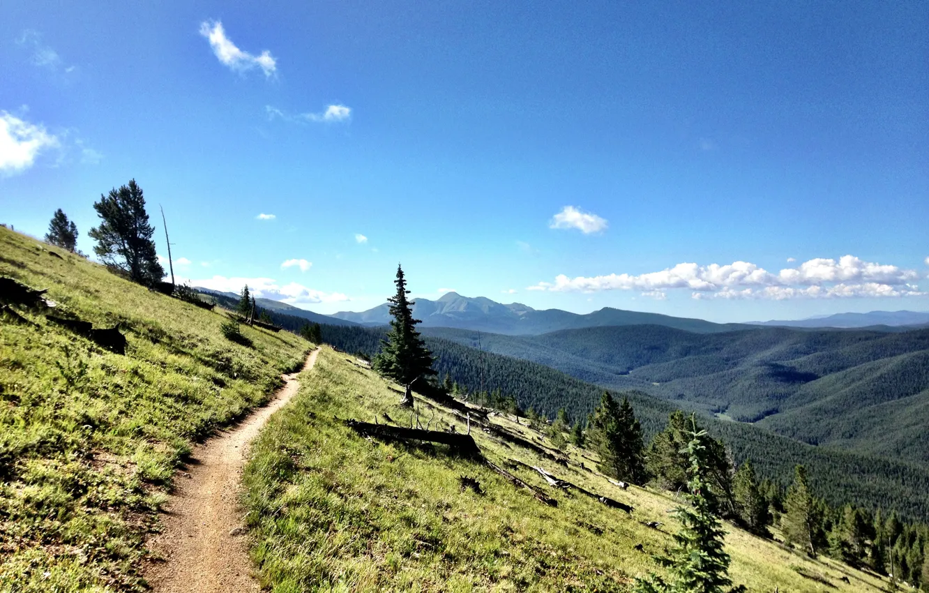 Photo wallpaper forest, mountains, nature, trail