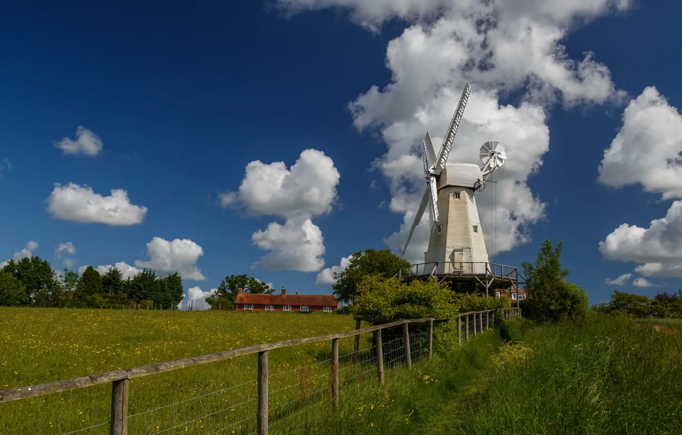 Photo wallpaper field, blue, windmill