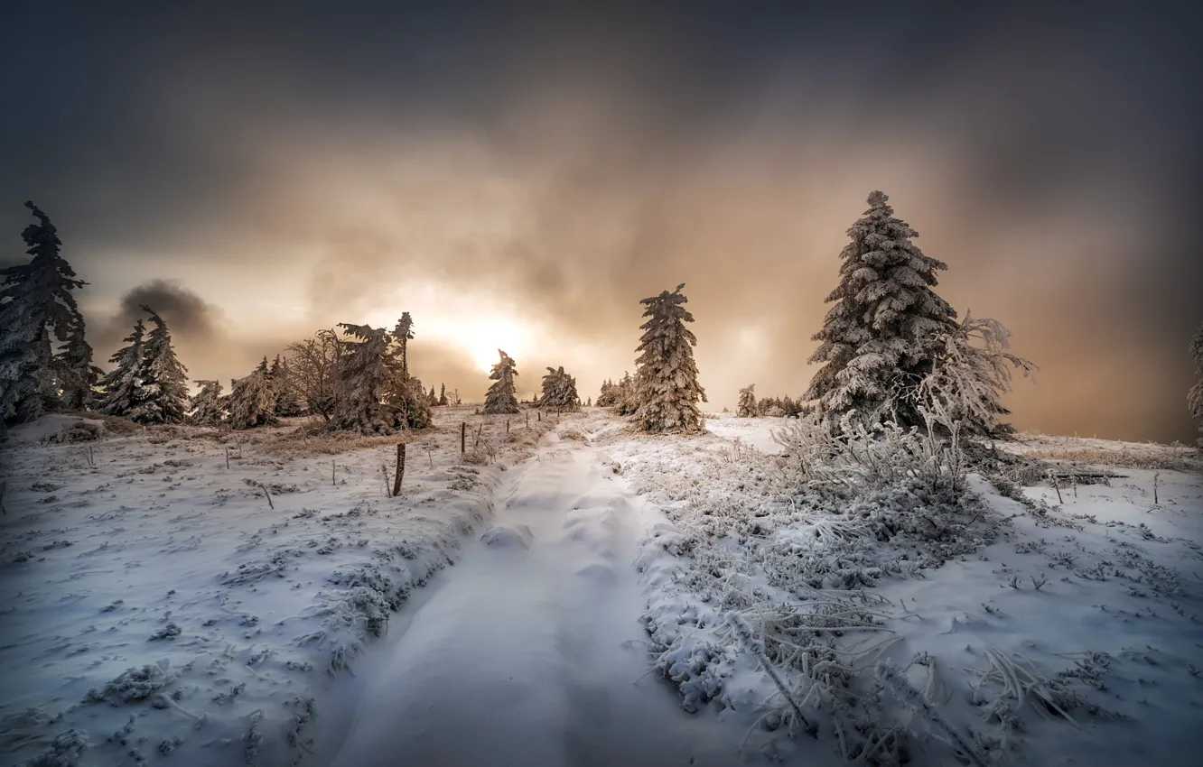 Photo wallpaper winter, road, forest, the sky, the sun, clouds, light, snow