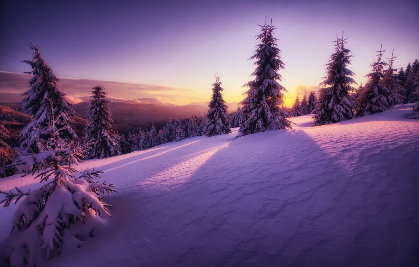 Photo wallpaper winter, the sky, the sun, light, snow, sunset, mountains, lilac