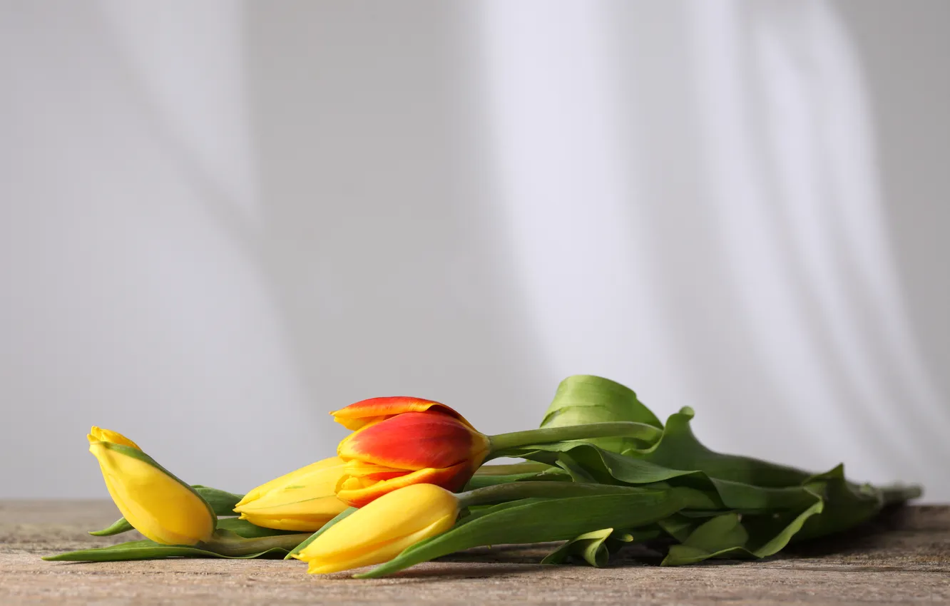 Photo wallpaper flowers, table, stem, tulips