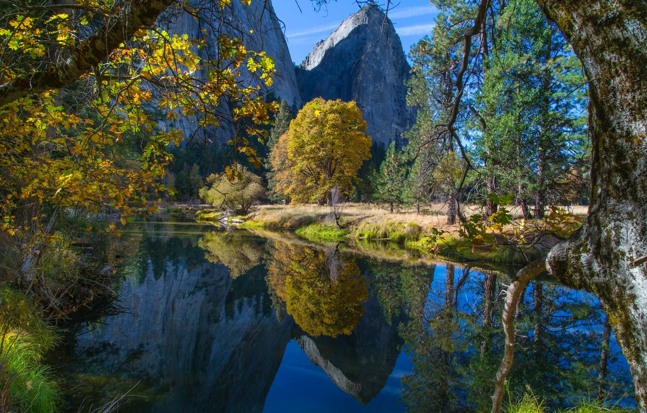 Photo wallpaper autumn, forest, trees, mountains, river, CA, USA, Yosemite National Park