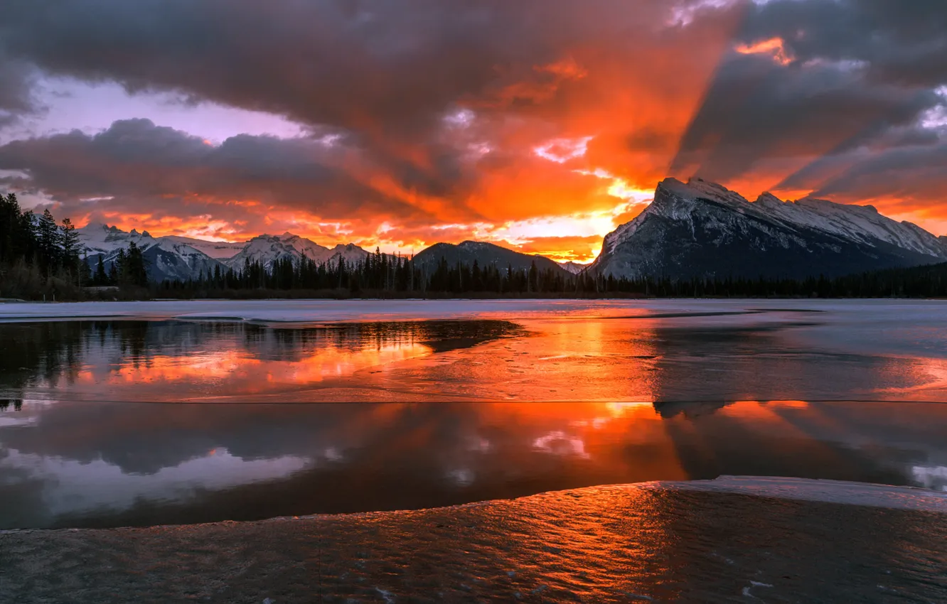 Photo wallpaper winter, snow, mountains, dawn, morning, Canada, Albert, Banff national Park