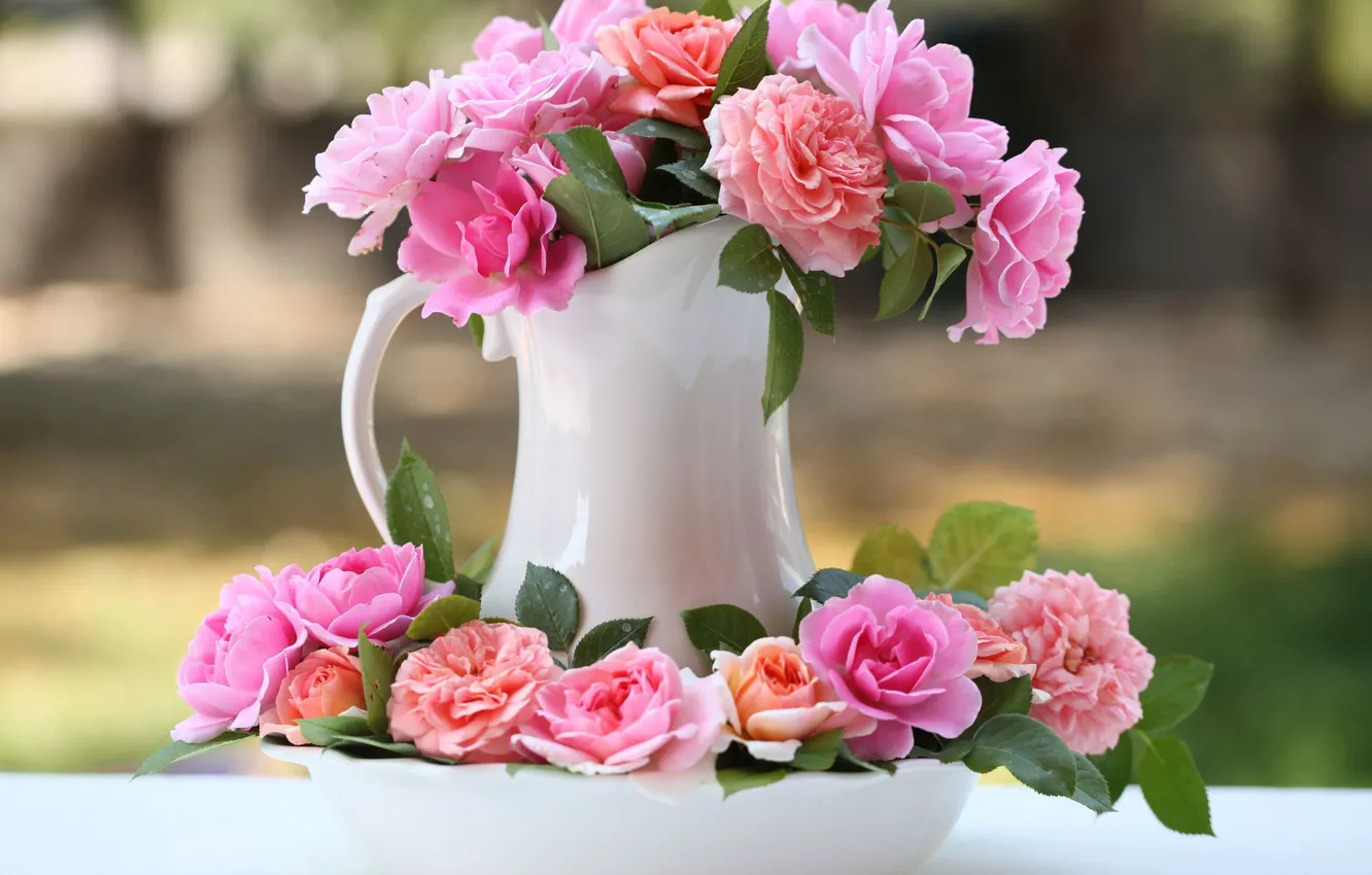 Photo wallpaper roses, pitcher, buds, © Elena Di Guardo