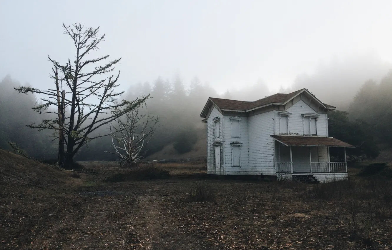 Photo wallpaper nature, trees, fog, abandoned, old house