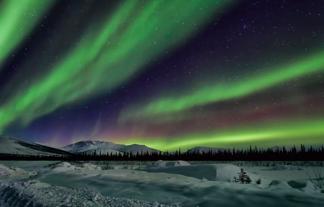 Photo wallpaper the sky, stars, snow, trees, landscape, mountains, night, Northern lights