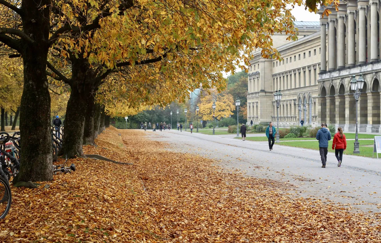 Photo wallpaper autumn, the city, Park, street, Germany, Autumn in Munich