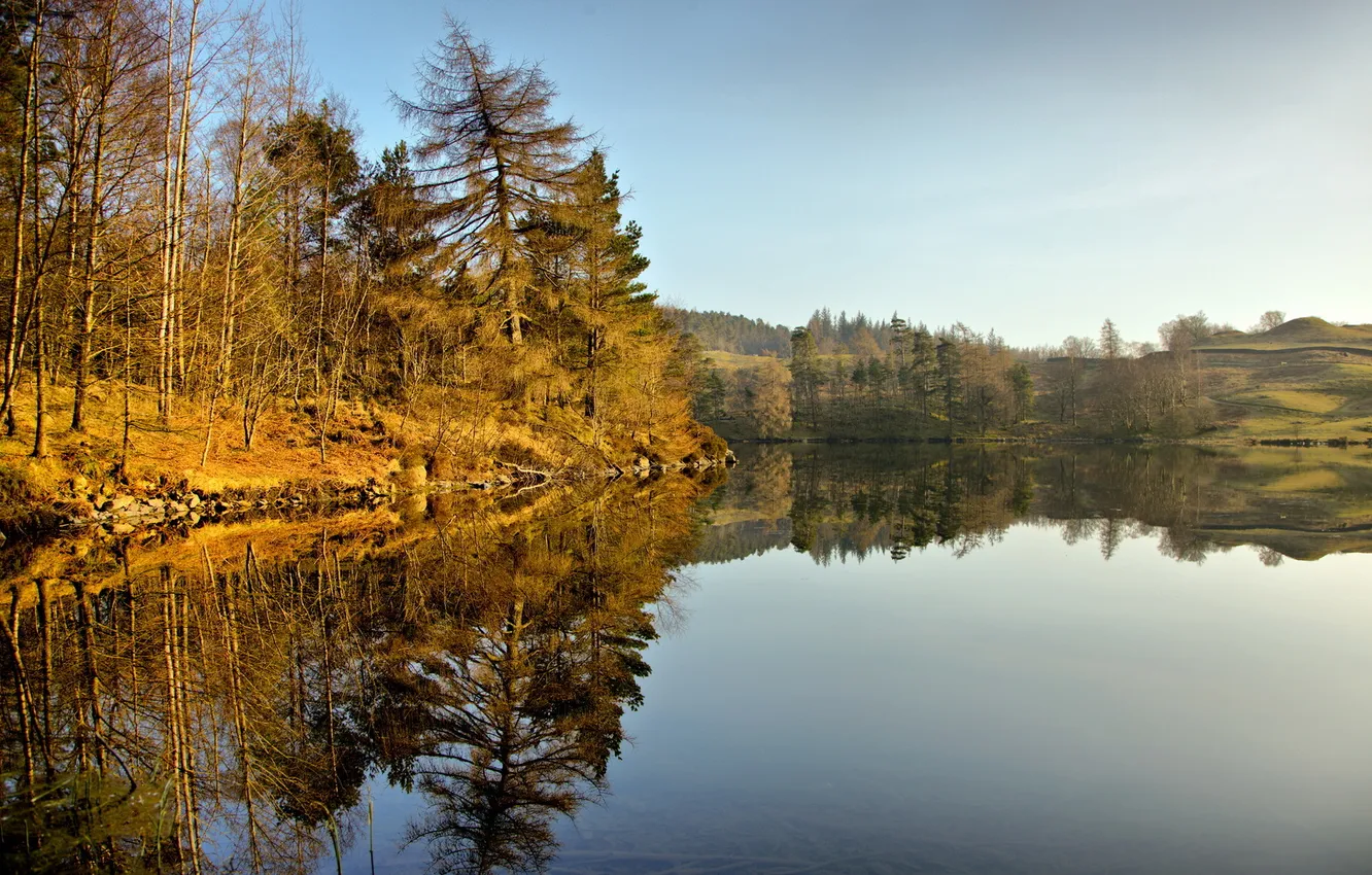 Photo wallpaper forest, landscape, lake