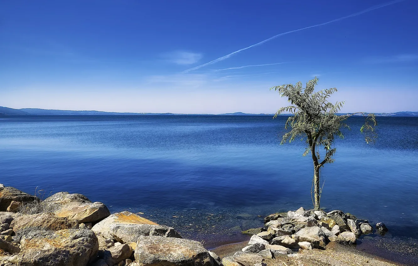 Photo wallpaper the sky, landscape, stones, tree, nature. sea