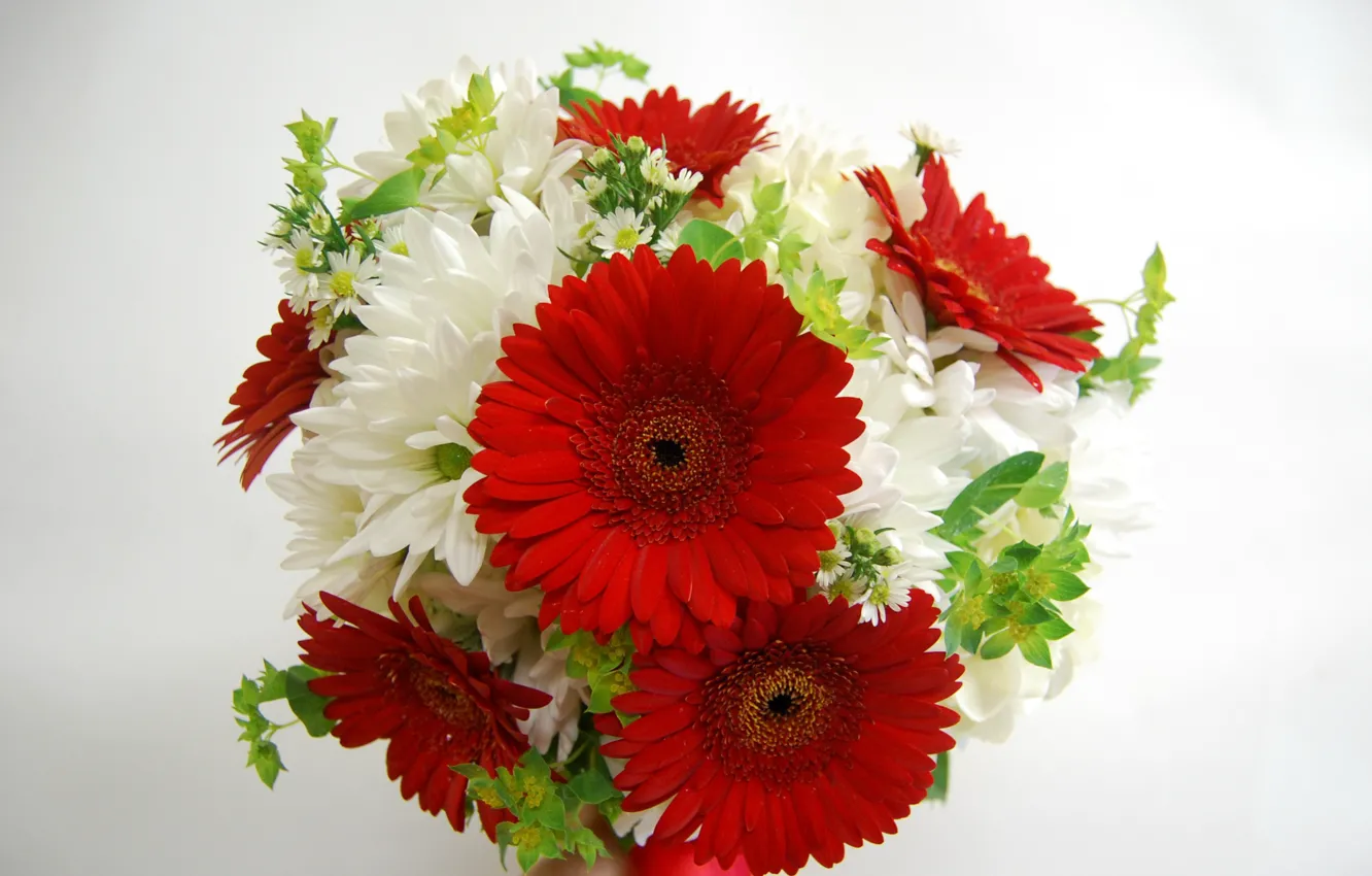 Photo wallpaper bouquet, gerbera, chrysanthemum, Red-white