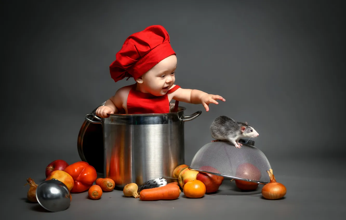 Photo wallpaper background, girl, pan, vegetables, rat, cap, rat, scullion