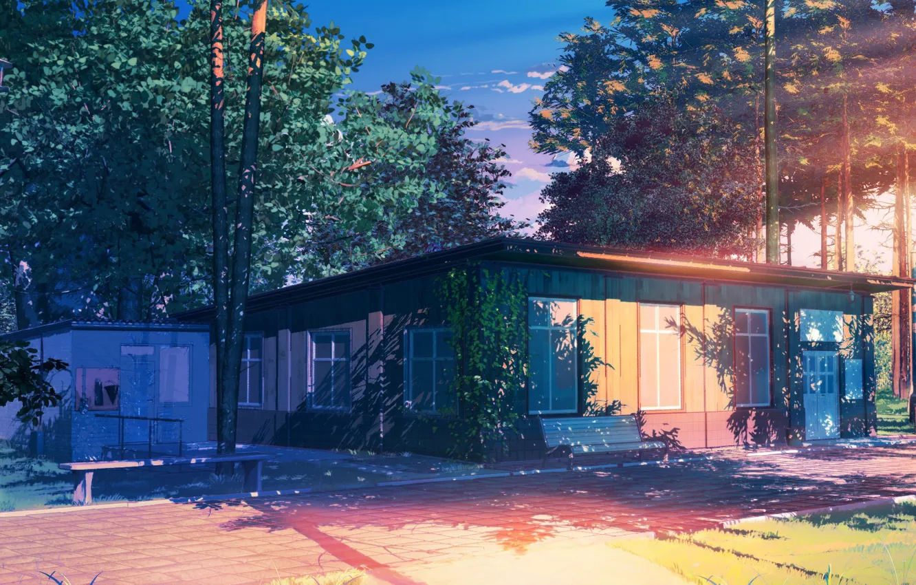 Photo wallpaper forest, lights, structure, everlasting summer, Summer camp
