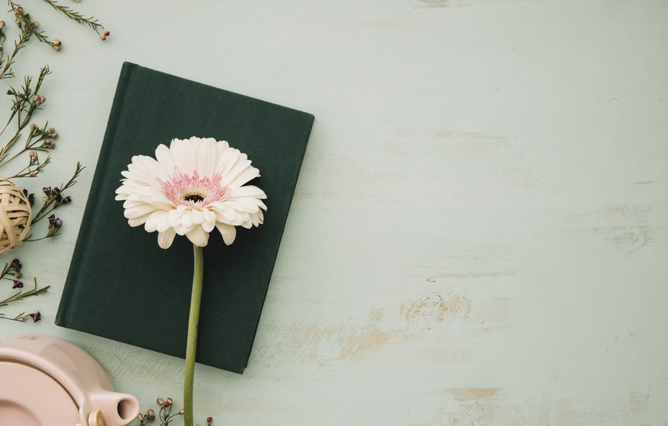 Photo wallpaper flowers, kettle, book, pink, gerbera