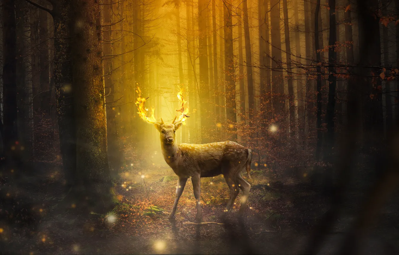 Photo wallpaper forest, trees, night, fire, deer, lights, fantasy, horns