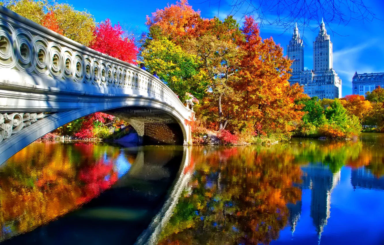 Photo wallpaper autumn, the sky, leaves, trees, landscape, bridge, New York, USA