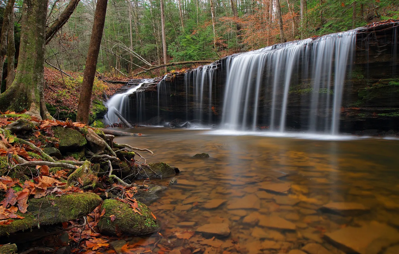 Photo wallpaper USA, forest, autumn, rocks, trees, waterfall, river