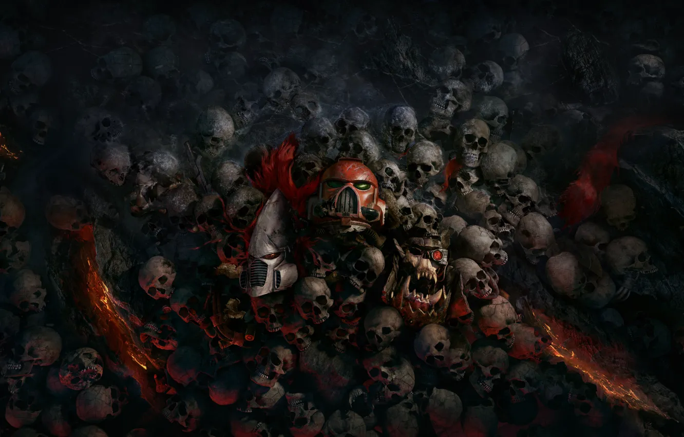 Photo wallpaper skull, Relic Entertainment, Warhammer 40000: Dawn Of War