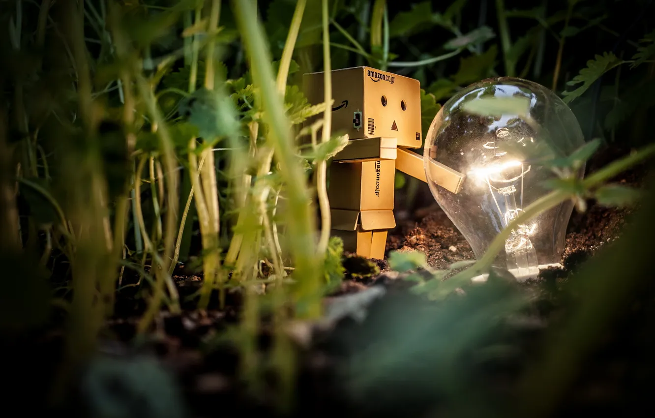 Photo wallpaper box, light bulb, amazon