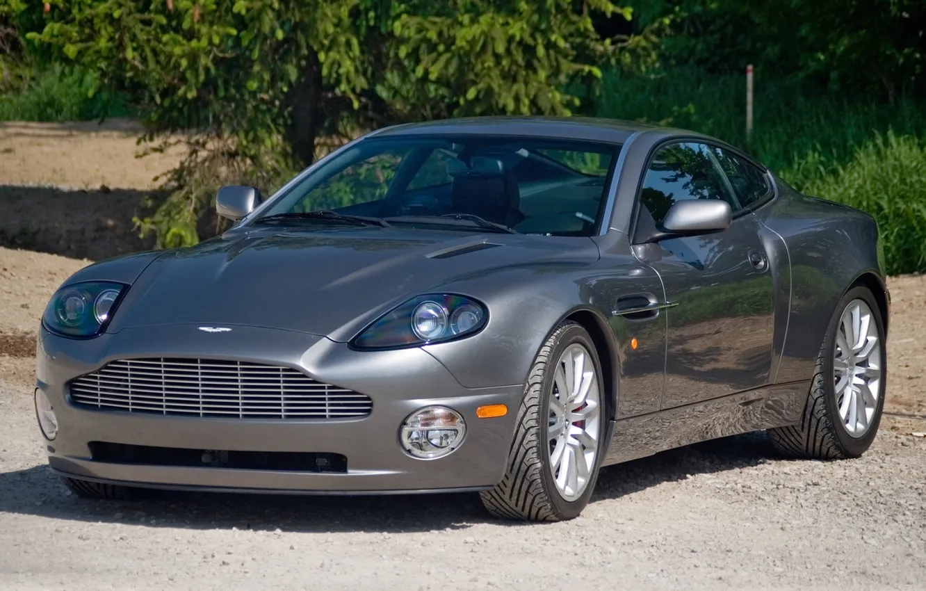 Photo wallpaper trees, grey, Aston Martin, Aston Martin, supercar, V12, the front, B12