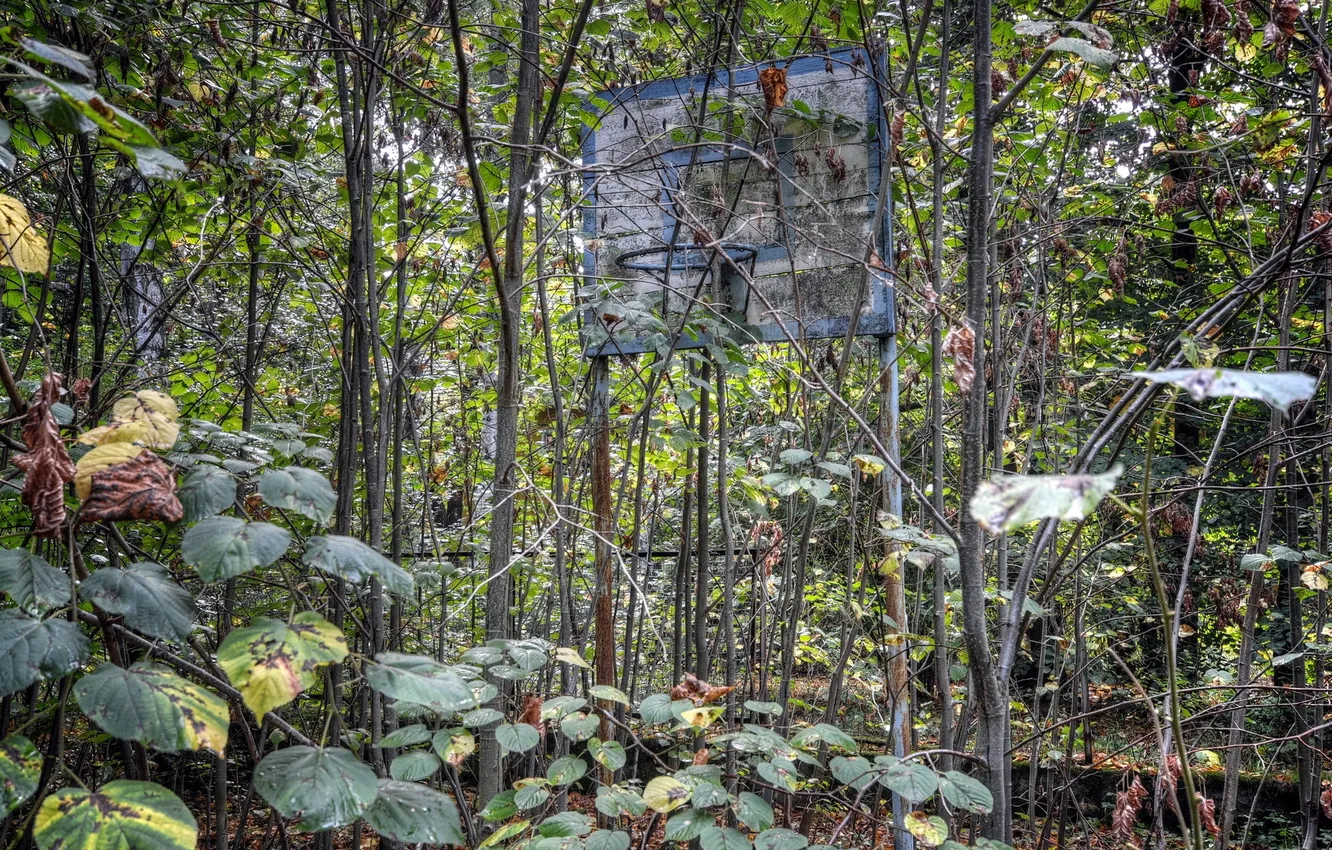 Photo wallpaper sport, ring, shield, Playground