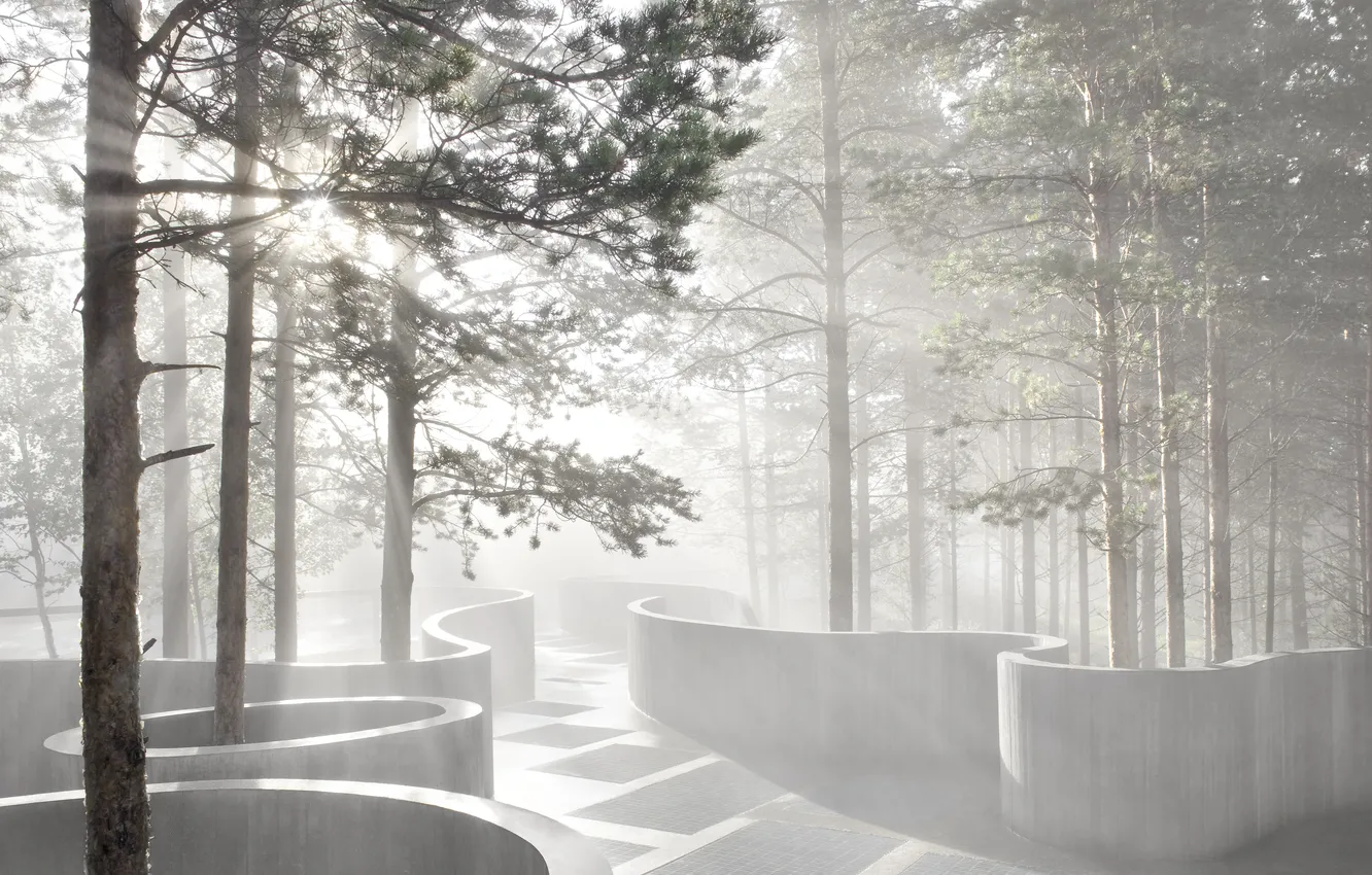 Photo wallpaper forest, rays, trees, fog, Sohlberg plassen