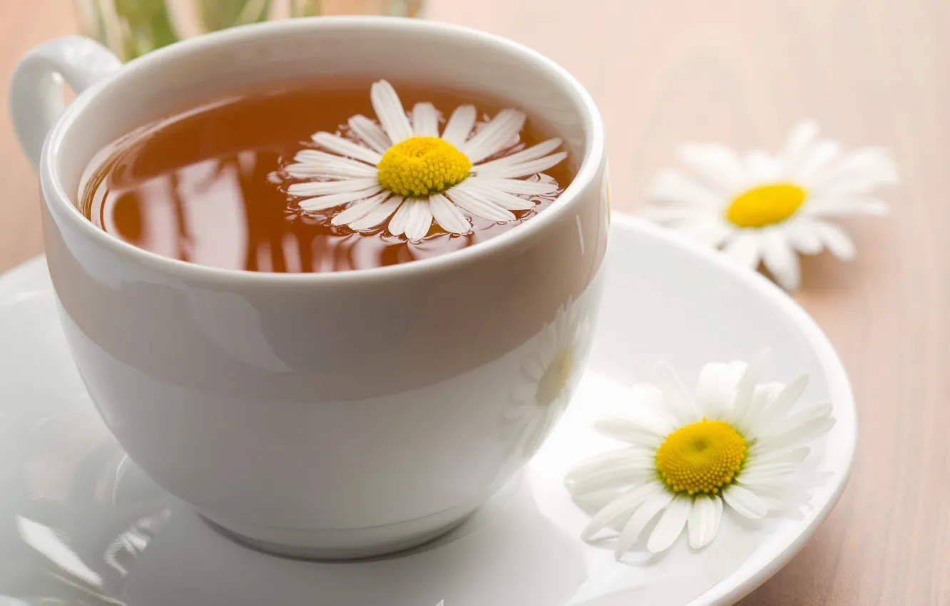 Photo wallpaper tea, Daisy, gently