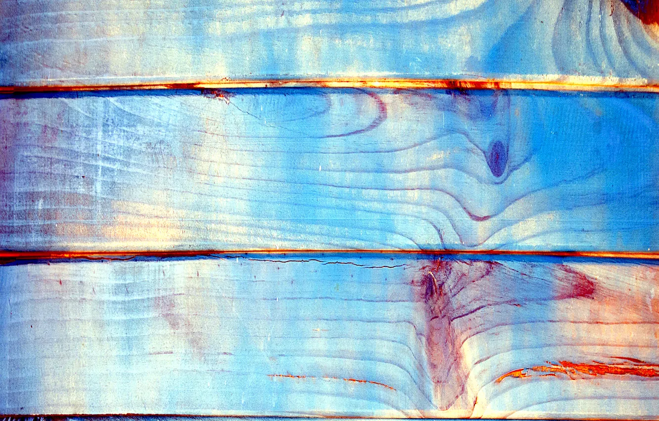 Photo wallpaper trees, color, texture