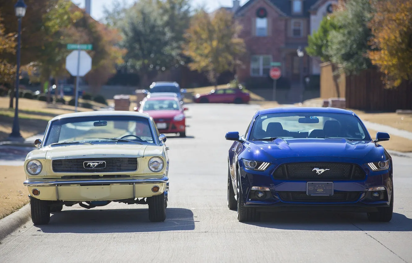 Photo wallpaper road, street, Ford, mustang