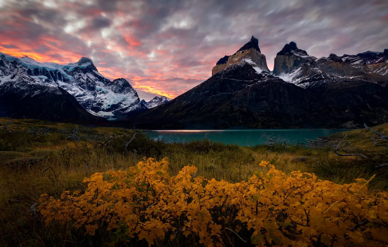Photo wallpaper autumn, mountains, lake, foliage, the bushes, pond, Andes, Patagonia