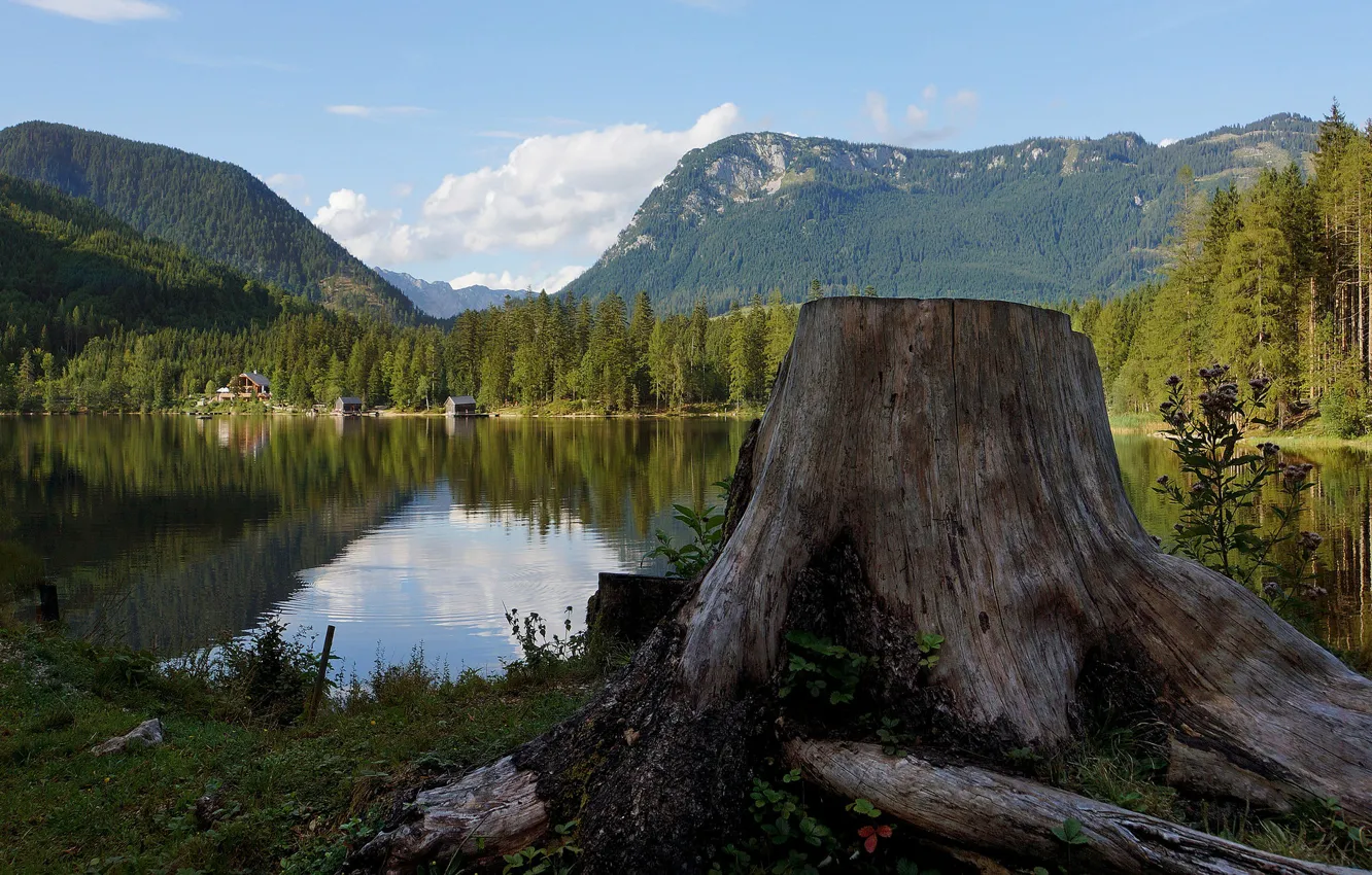 Photo wallpaper mountains, lake, stump