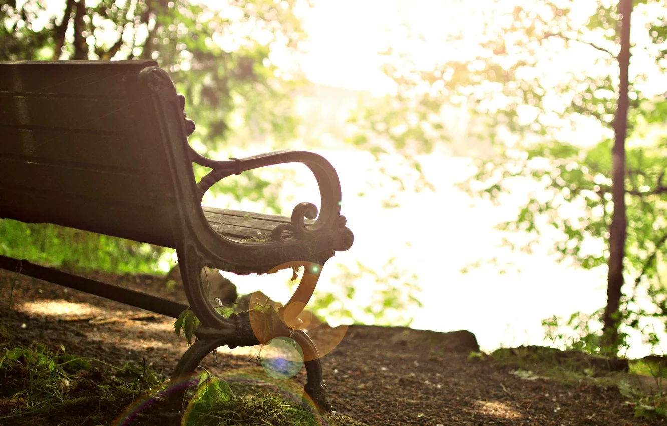 Photo wallpaper leaves, the sun, trees, bench, background, tree, widescreen, Wallpaper
