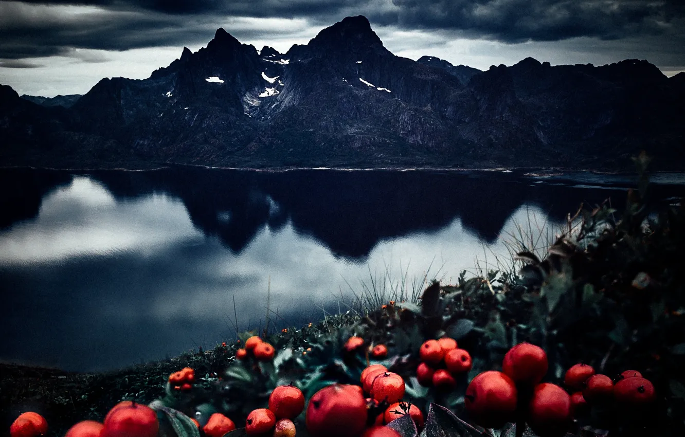 Photo wallpaper sea, landscape, mountains, clouds, nature, berries, rocks, vegetation