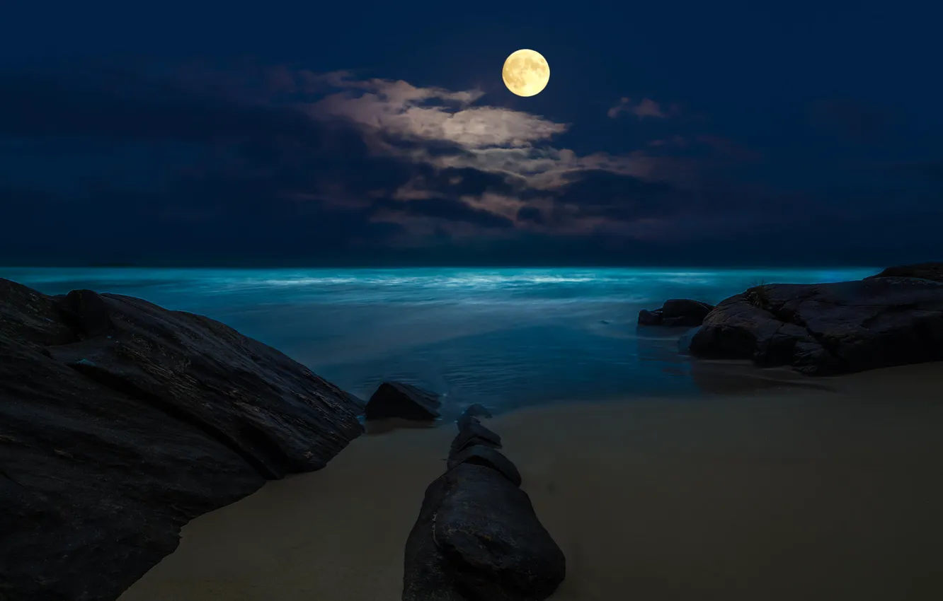Photo wallpaper sea, beach, night, rocks, the moon, the full moon