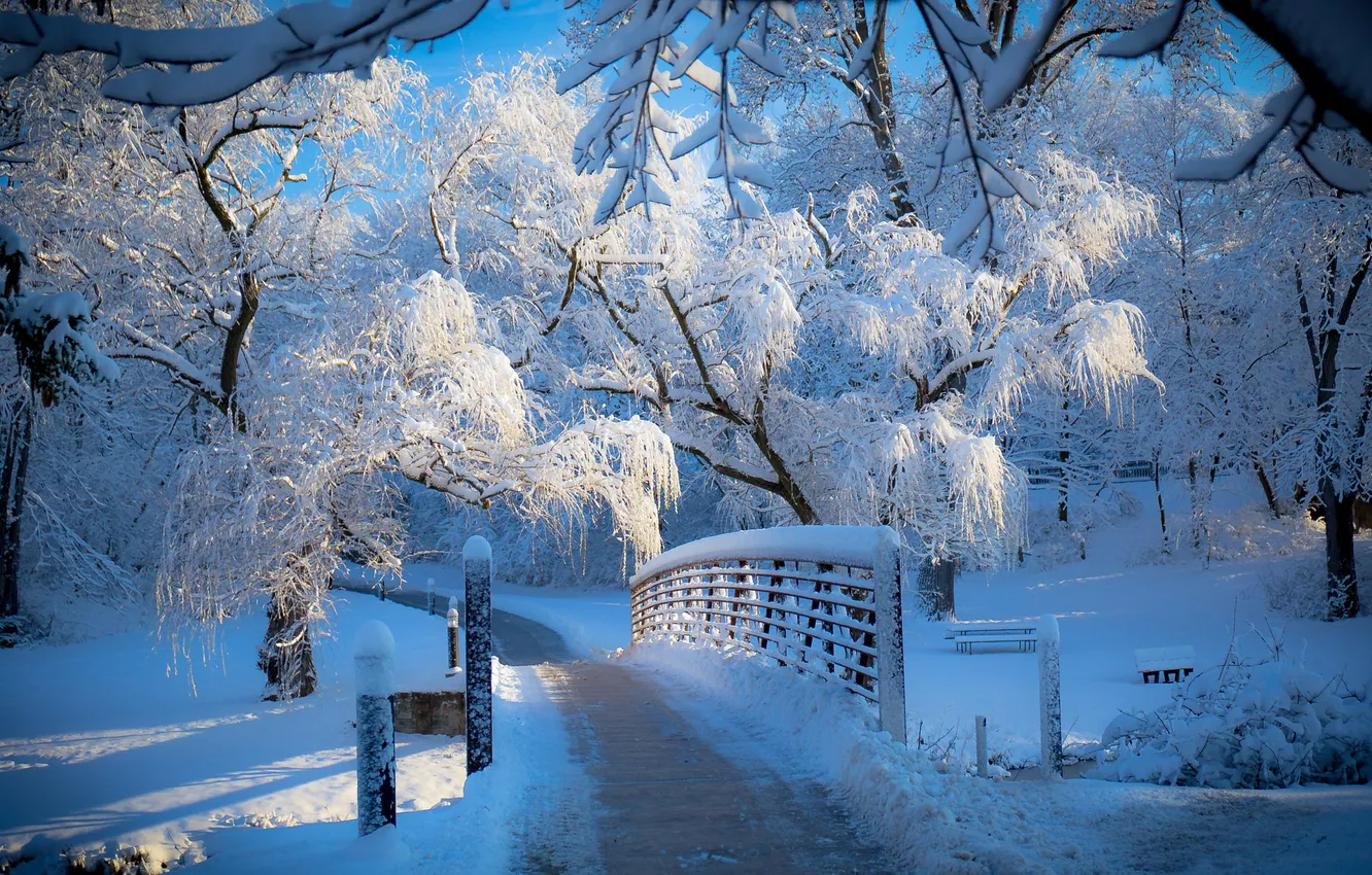 Photo wallpaper winter, frost, snow, bridge, nature, Park