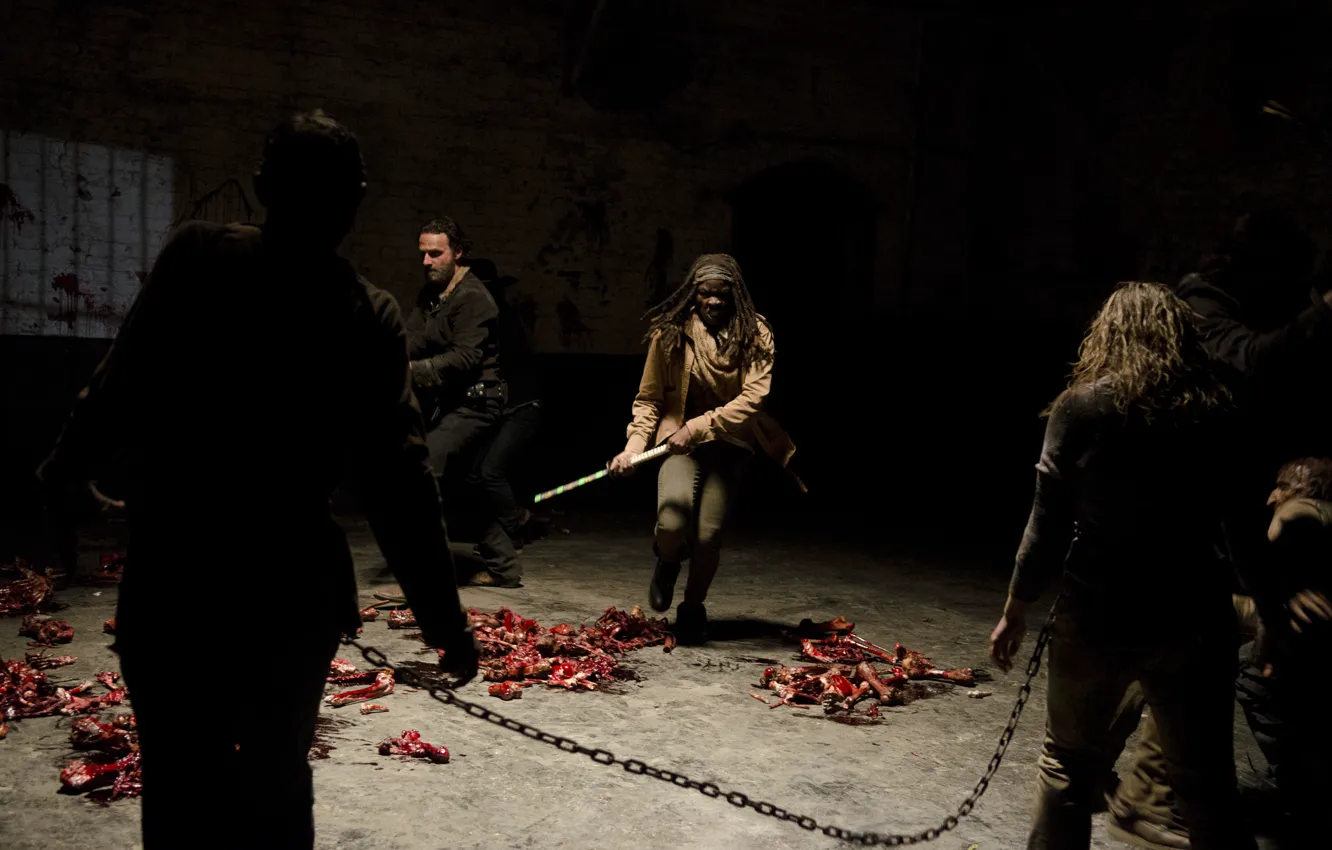 Photo wallpaper chain, The Walking Dead, The walking dead, Rick Grimes, Michonne, Walking