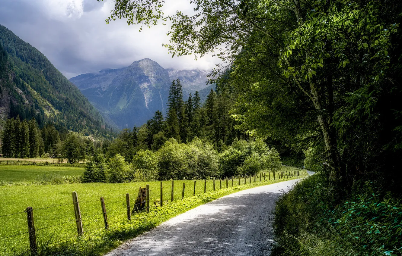 Photo wallpaper road, forest, trees, mountains, Austria, Austria, Hohe Tauern National Park