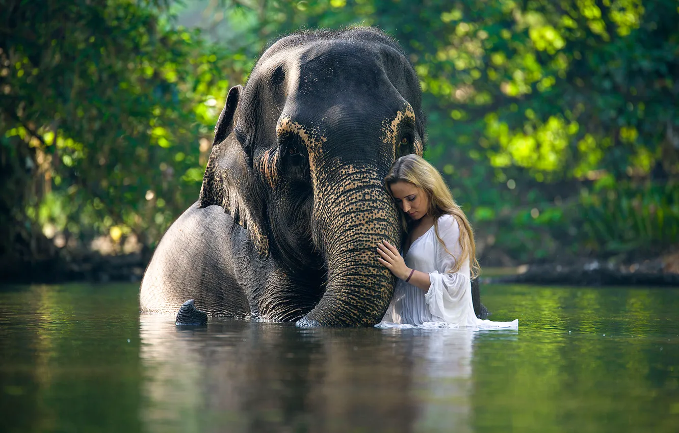 Photo wallpaper girl, elephant, in the water